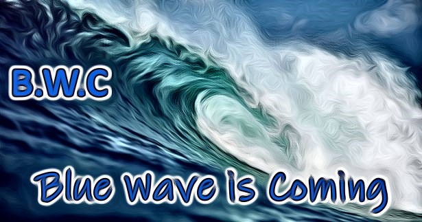 B.W.C - Blue Wave is Coming