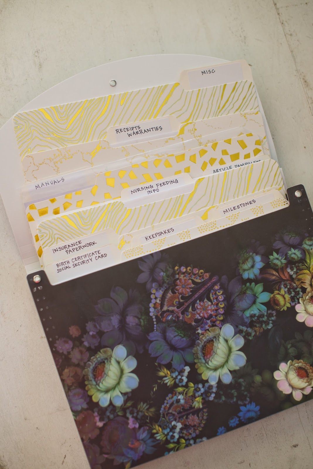 Domestic Fashionista Baby Medical Record File Folder