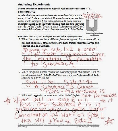 Passive transport analysis answer key picture