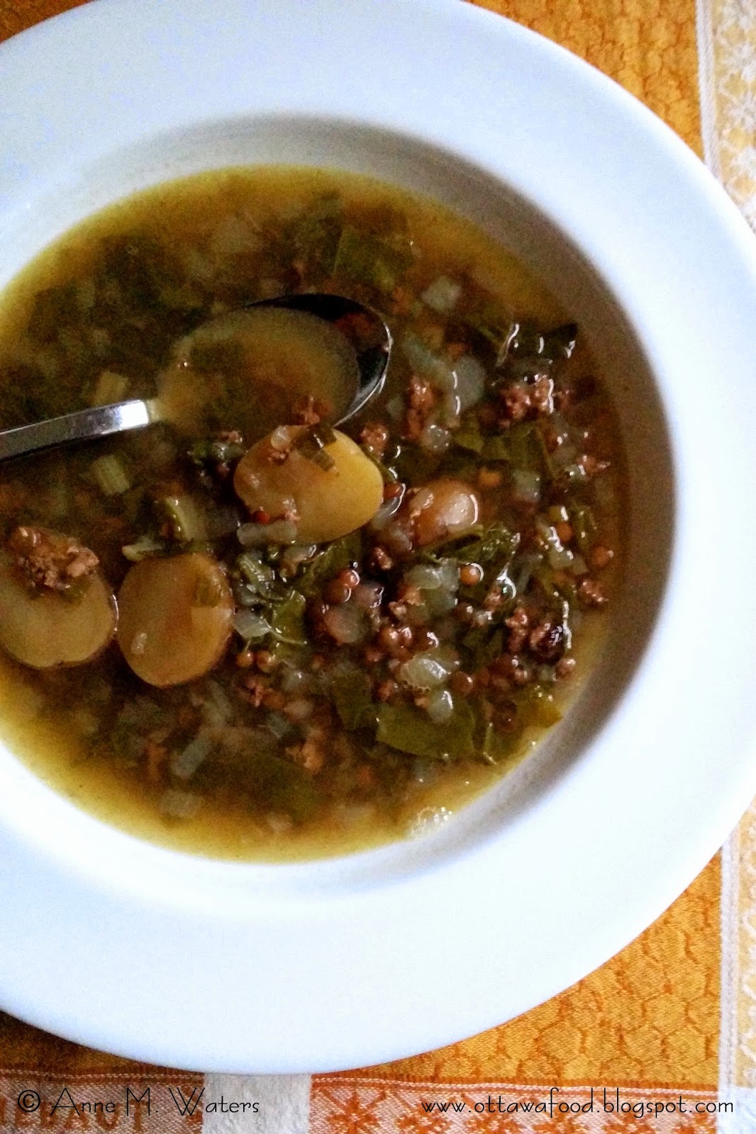 If Music be the Food of Love, Play On: Lebanese Lentil Soup Marries My ...