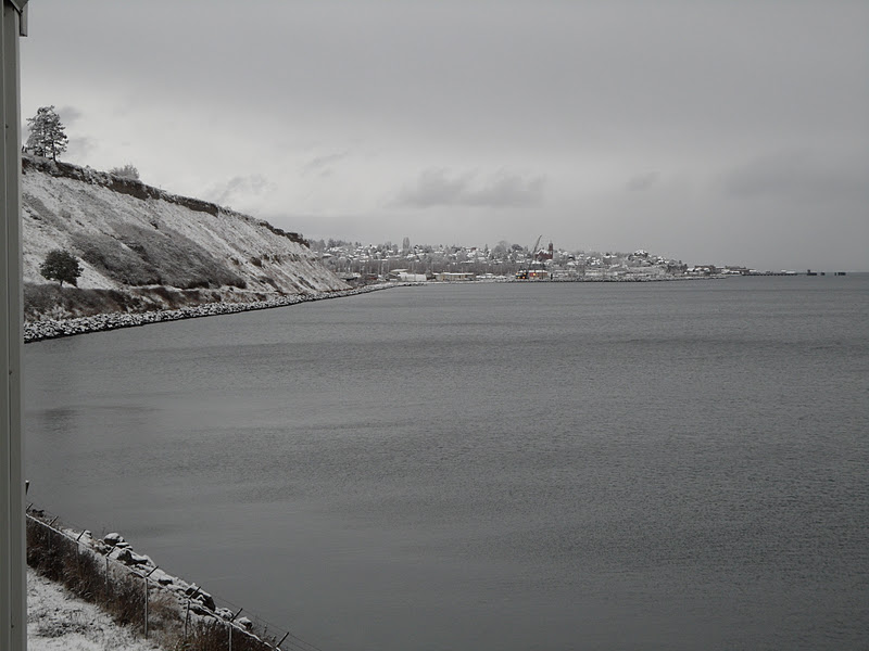 Four Bees Snow Ride in Port Townsend!
