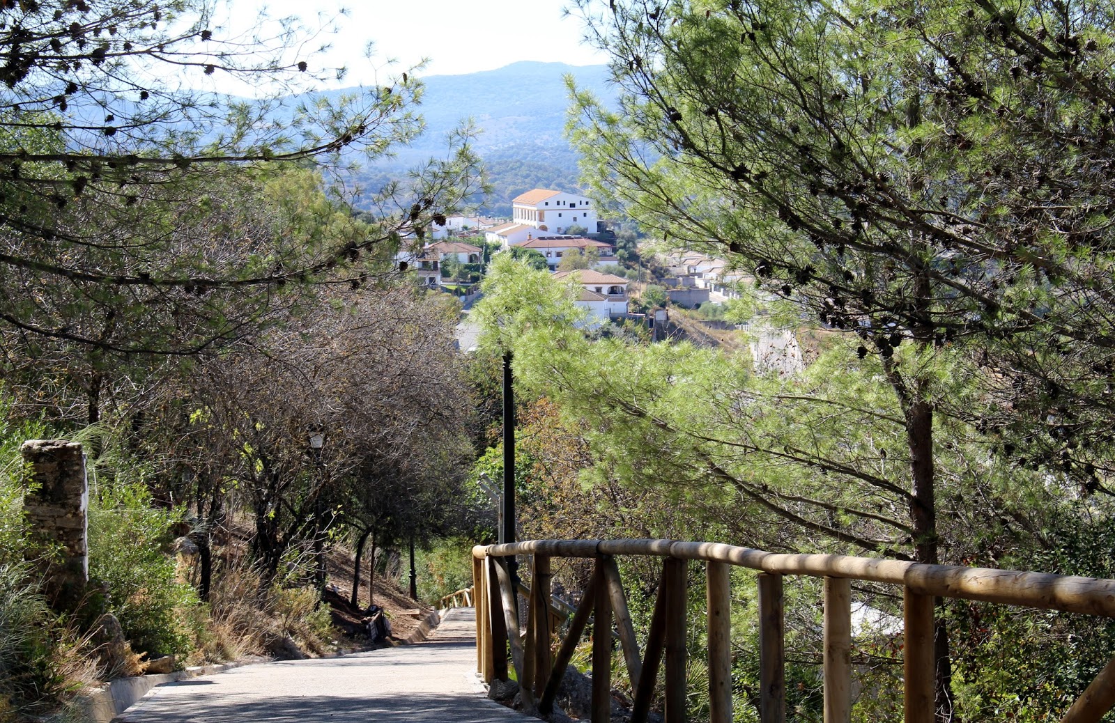Rinconesibericos EL BOSQUECádizAndalucíaEspaña
