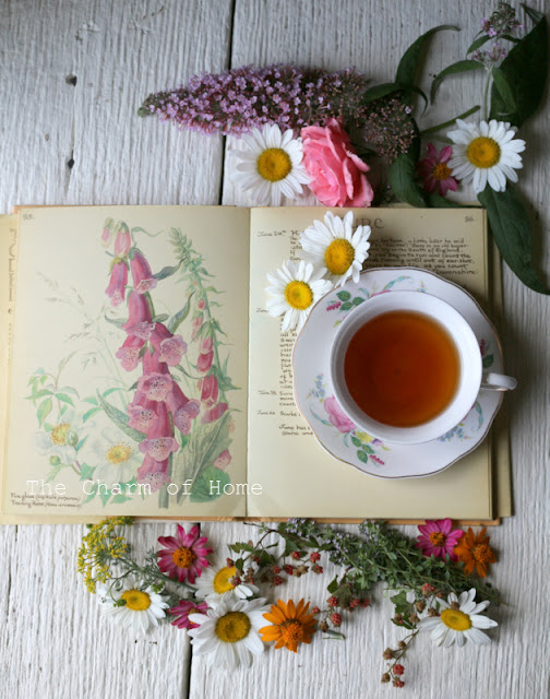 June Visual Tea/Garden Journal: The Charm of Home