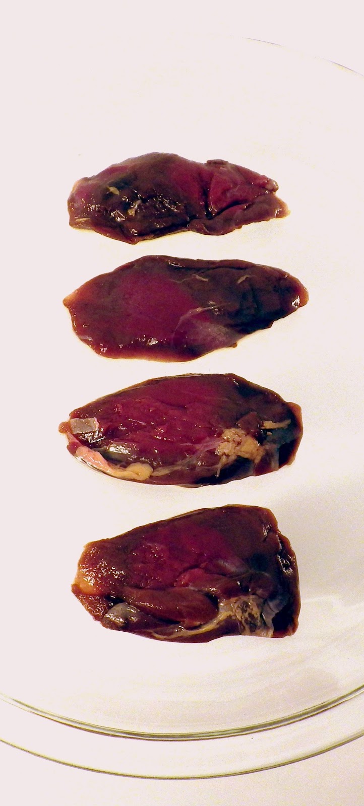 The Reverend Fowl ™ Coot Style Rough Plate ™ Cooking Series