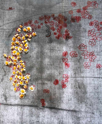 Flores (Anthemis Bornmuelleri) colocadas  sobre os 'buracos' de informação no Santo Sudário