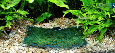 モスマット完成!