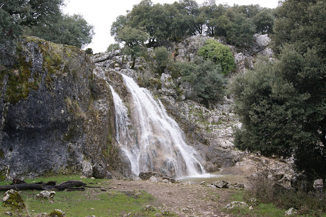 Primera cascada de las Chorreras .