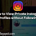 How to access private account without following on Instagram 