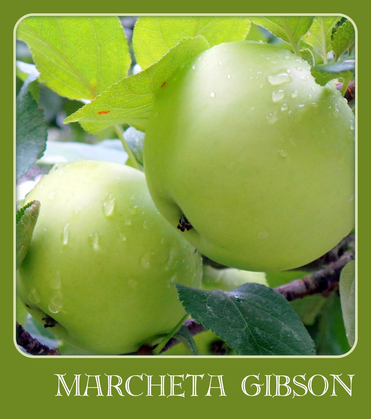 Ohio Country Journal Little Green Apples