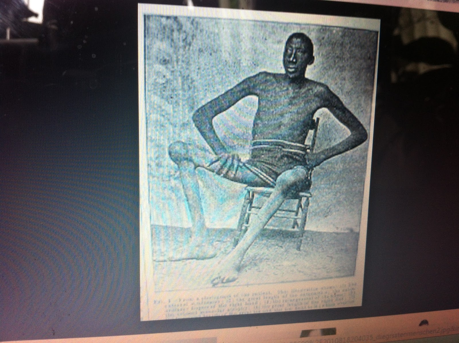 THE BLACK SOCIAL HISTORY:: BLACK SOCIAL HISTORY : AFRICAN AMERICAN ...