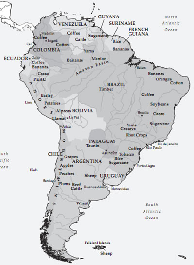 Plant Life: South American Agriculture