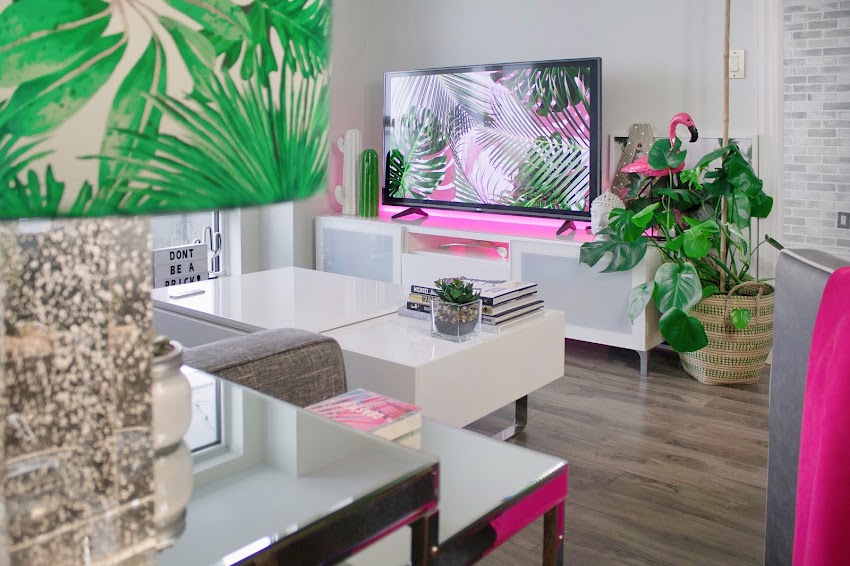 Apartment Books Cactus In White And Pink Apartment Books Cactus In White And Pink