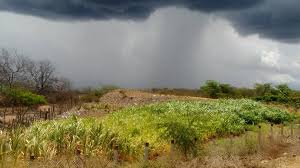 Meteorologia prevê mais chuva para o final de semana em Alta Floresta 