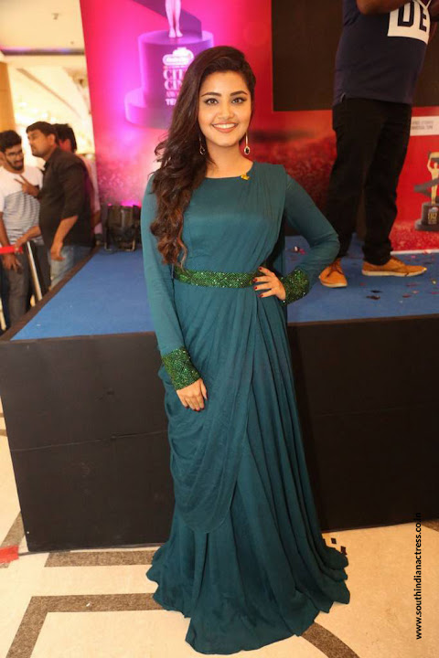 Anupama Parameswaran at Radio City Cine Awards Inaguration