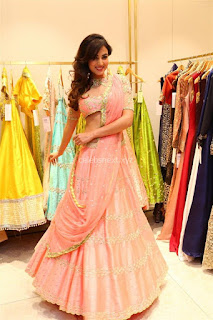 telugu actress sonal chauhan latest pics designer dress 16c5 .xyz