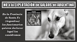 NO a la EXPLOTACIÓN de GALGOS