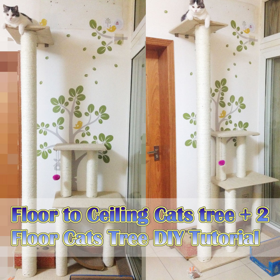 Meow Cat Com Floor To Ceiling Cats Tree 2 Floor Cats Tree