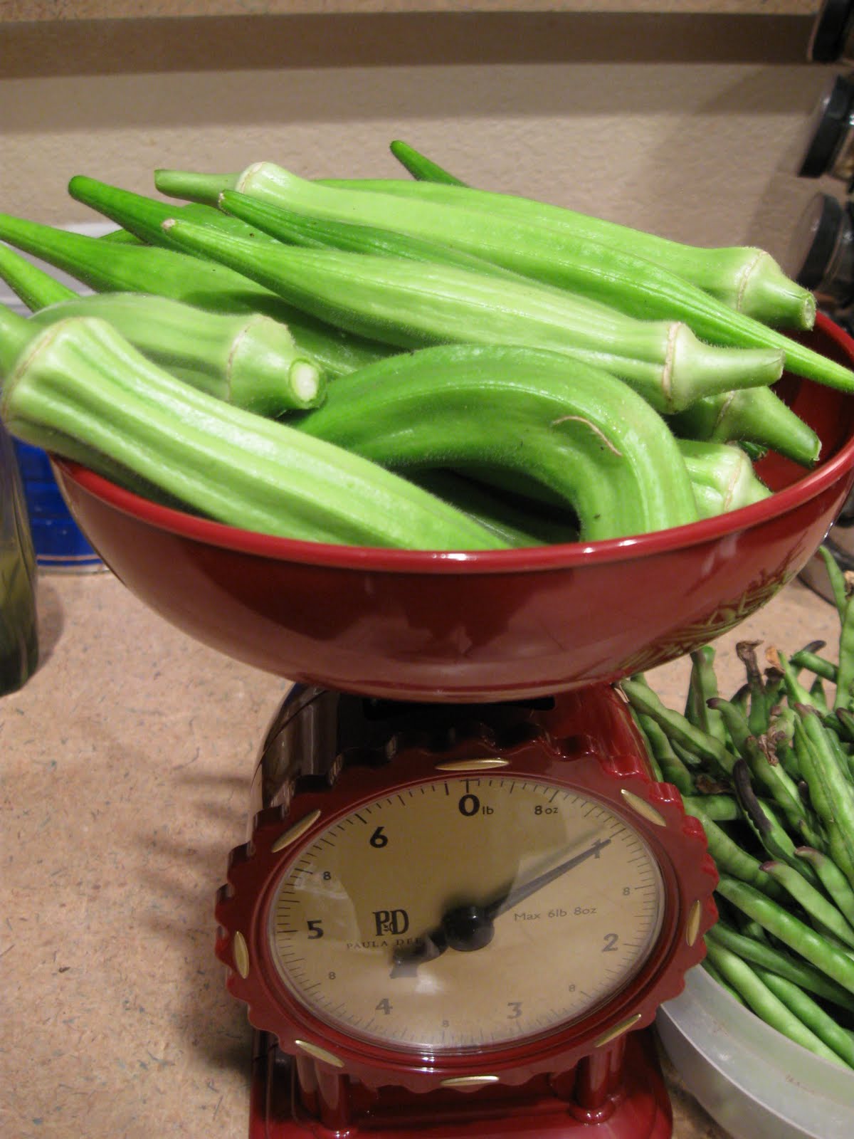 Growing Food In Florida When To Harvest Cowpeas And Okra 