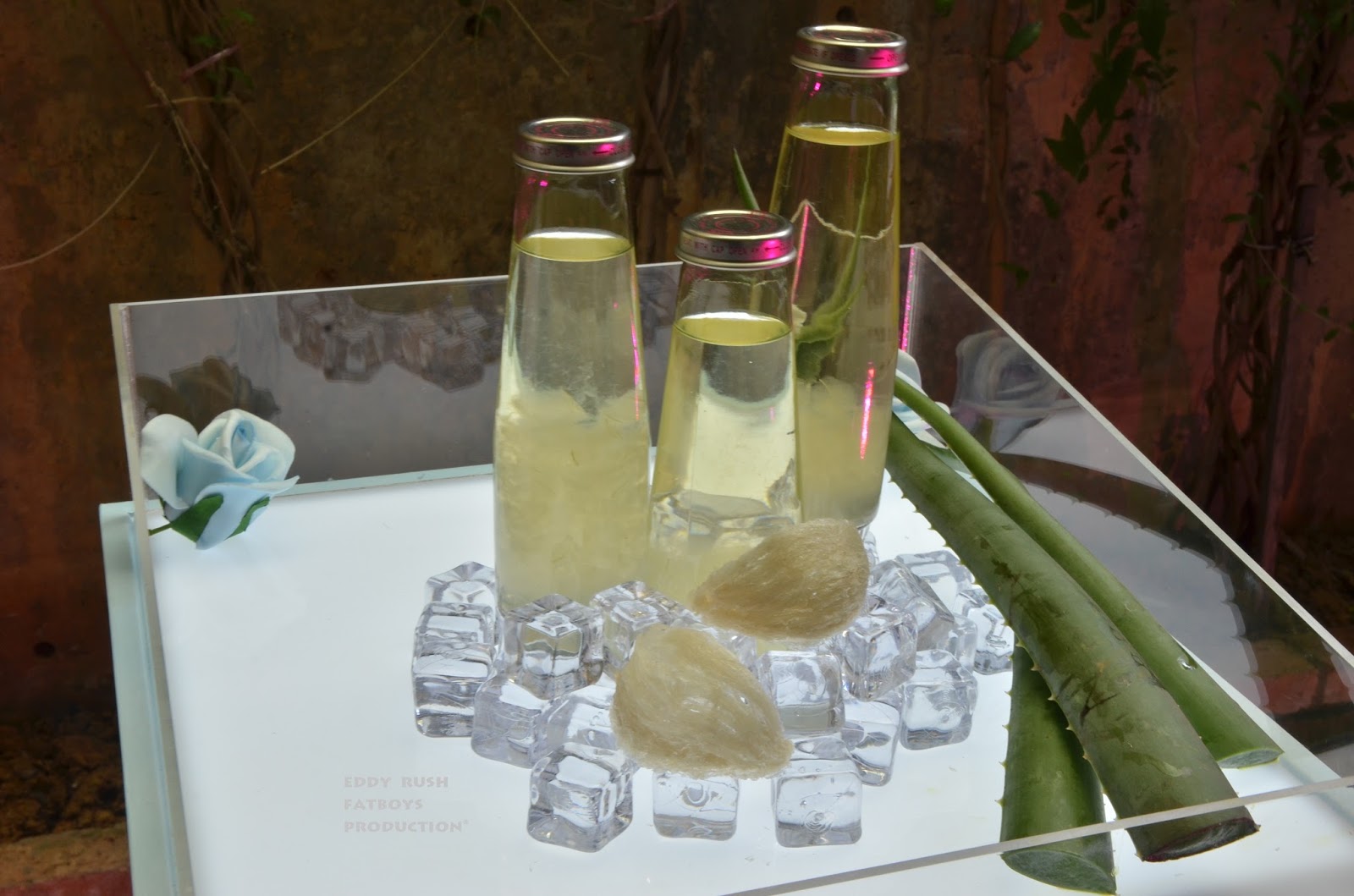 'The Joy Of Life' Collagen Bird's Nest Drink