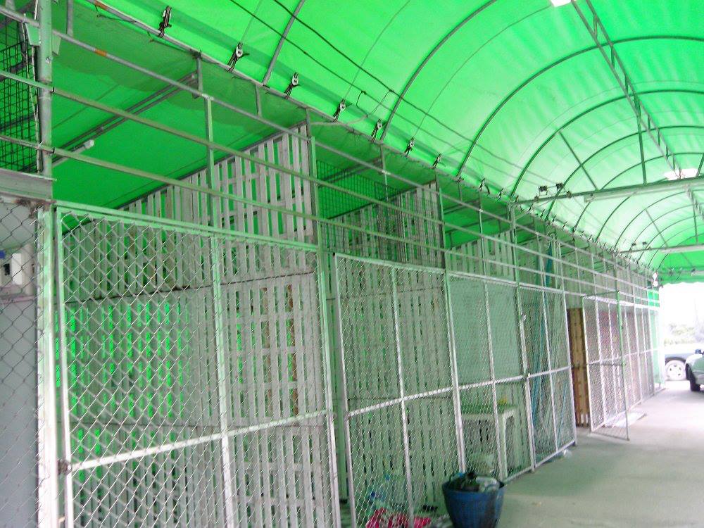 Kids in Pattaya: Baan Ton Rak Project