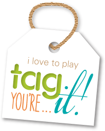 Tag You're It! Player