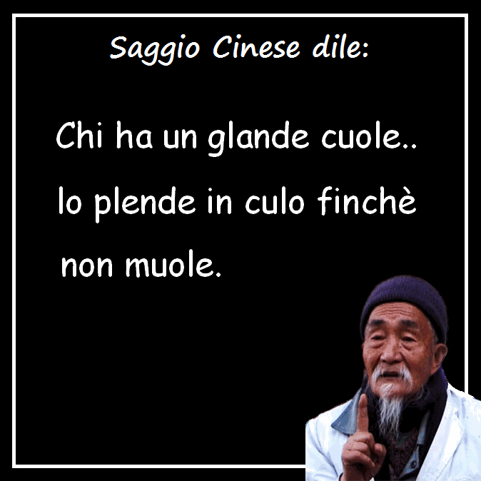 PAROLE SAGGE IL FATTO SUO..