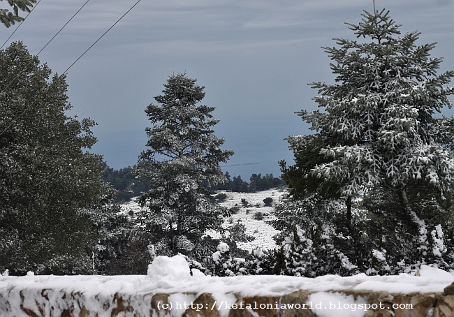 Snow on Mt. Aenos, Kefalonia