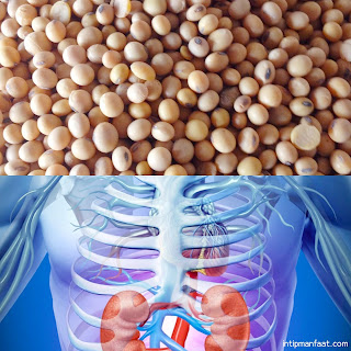 Manfaat Kedelai Untuk Obat Sakit Ginjal Dan Cara Mengolahnya   Kacang kedelai tidak hanya digunakan sebagai bahan dasar makanan dan minuman seperti  tah Manfaat Kedelai Untuk Obat Sakit Ginjal Dan Cara Mengolahnya