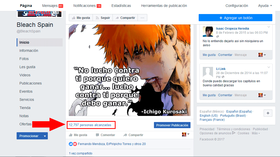 Bleach4.png