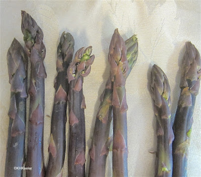red asparagus shoots