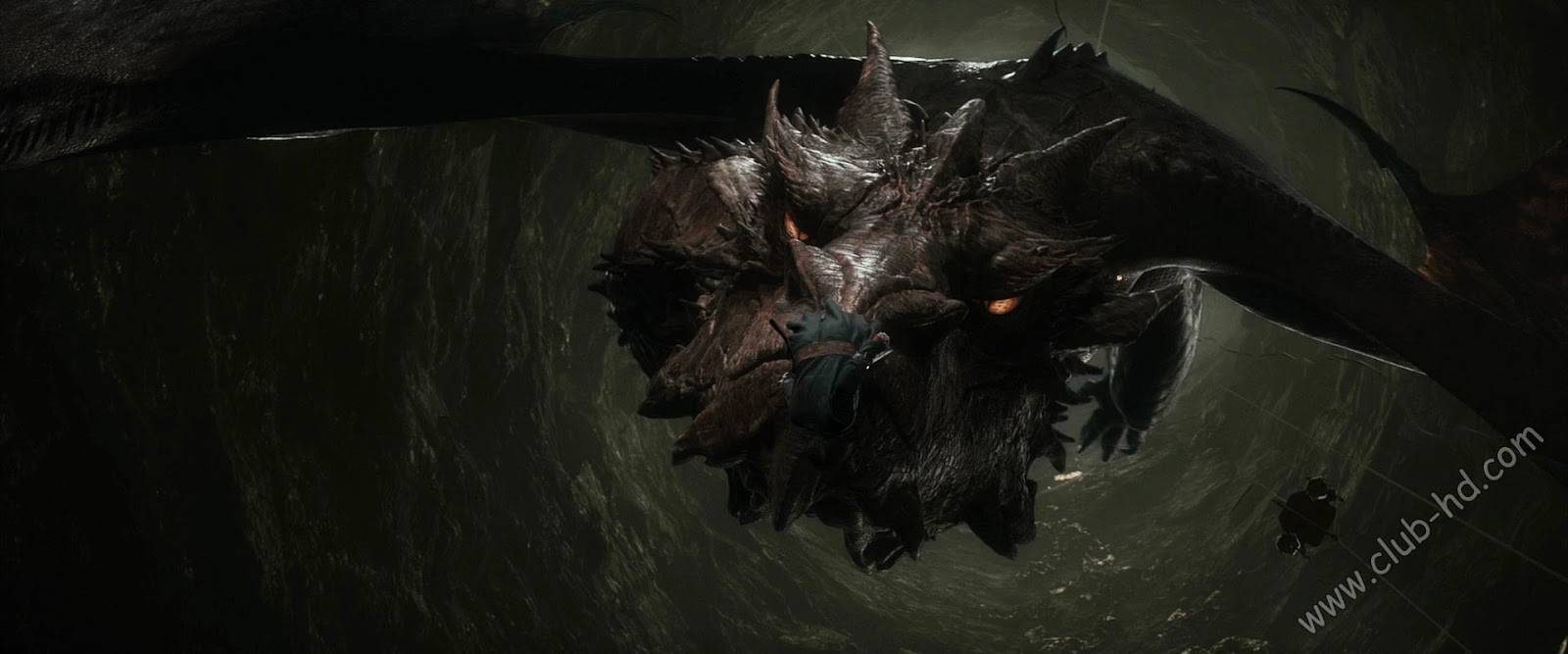 The_Hobbit_The_Desolation_of_Smaug_EXTENDED_CAPTURA-9.jpg