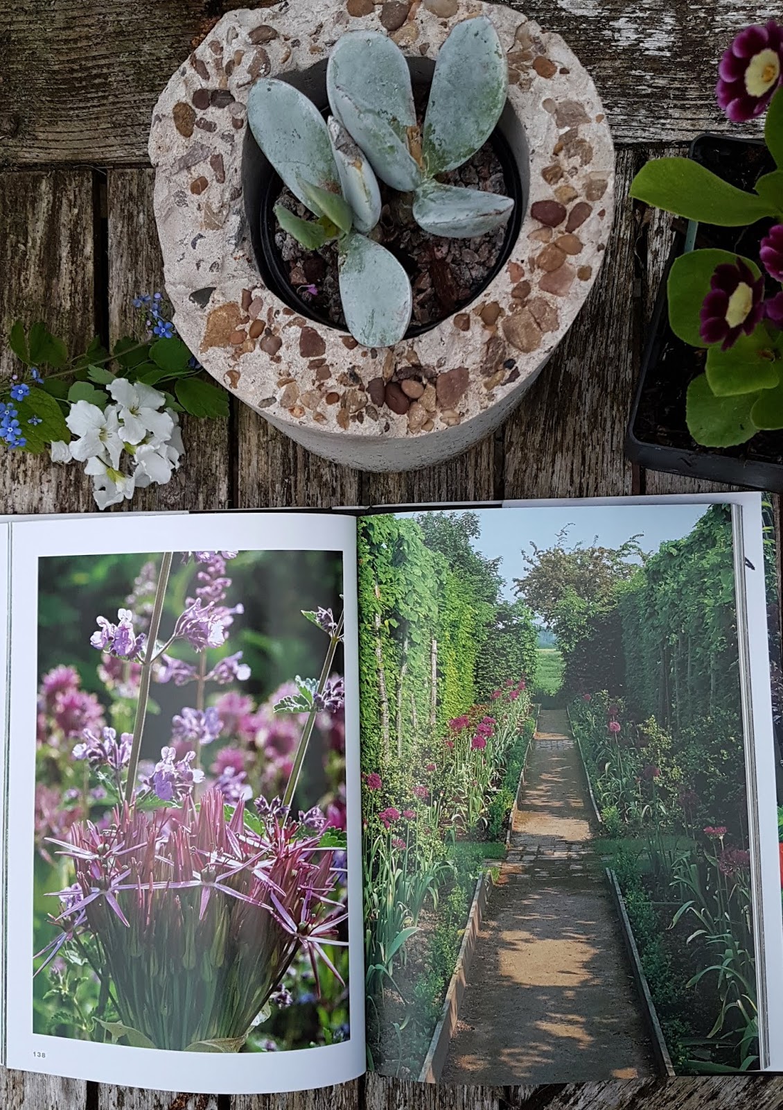 Book Review The Jewel Garden by Monty and Sarah Don