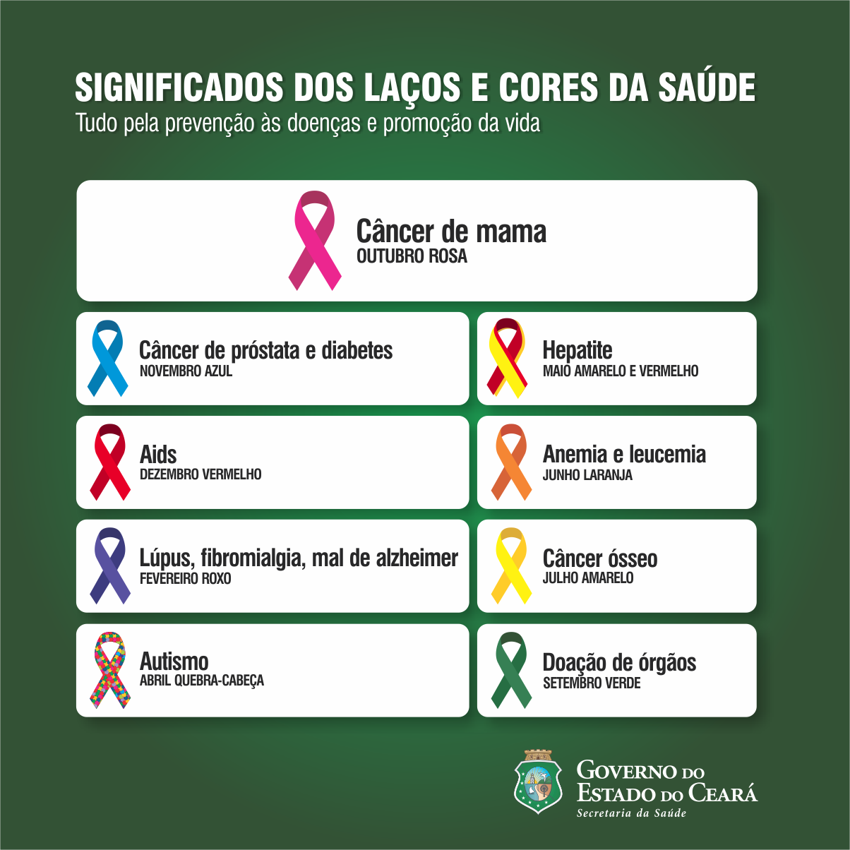 Os meses e suas cores / PET NUT Os meses e suas cores / PET NUT