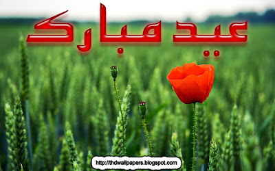 Eid Ul Zuha Adha Mubarak 2012 Card Flower Wallpapers Urdu Text 023