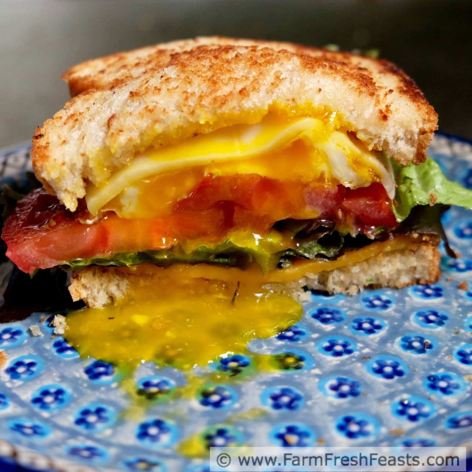 Farm Fresh Feasts Fried Egg, Lettuce, and Tomato Grilled Cheese Sandwich