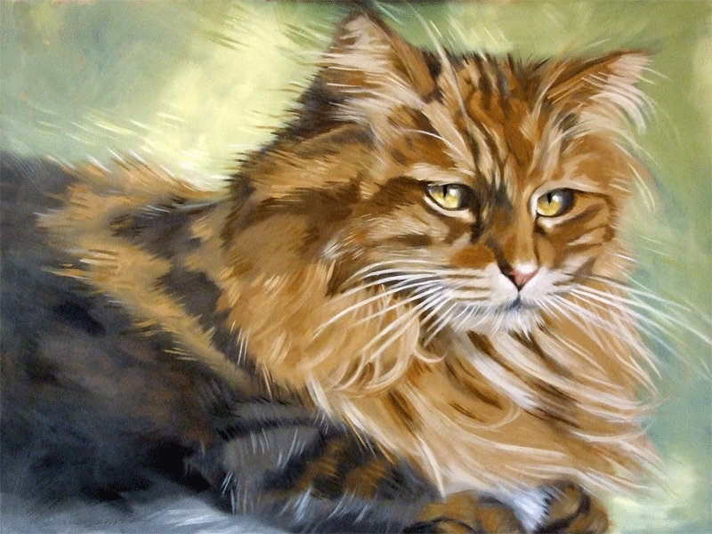 Paintings From the Parlor Fluffy Maine Coon Type Cat Paintings by Diane Irvine Armitage