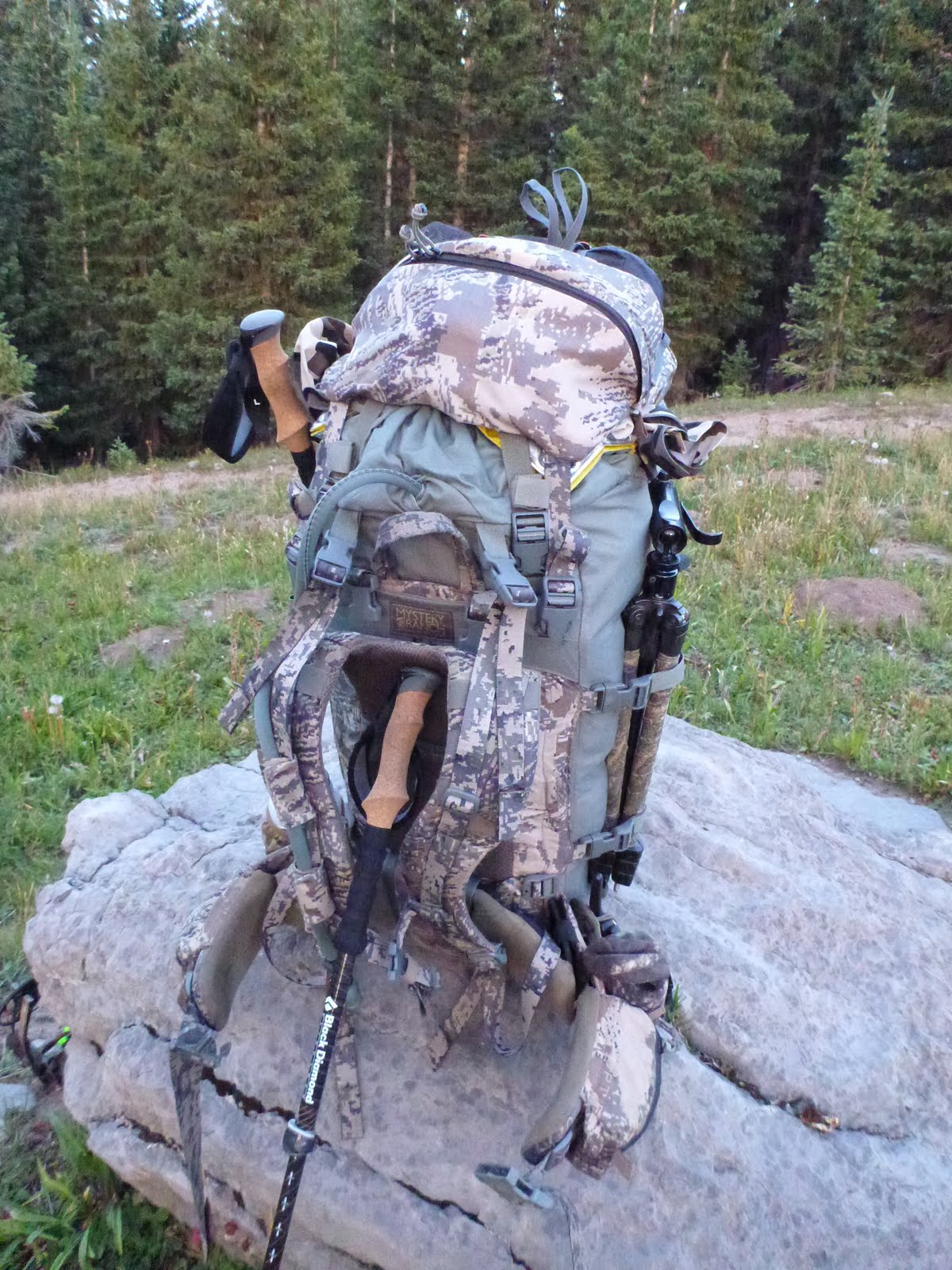 Colorado 2013 Archery Deer Hunt
