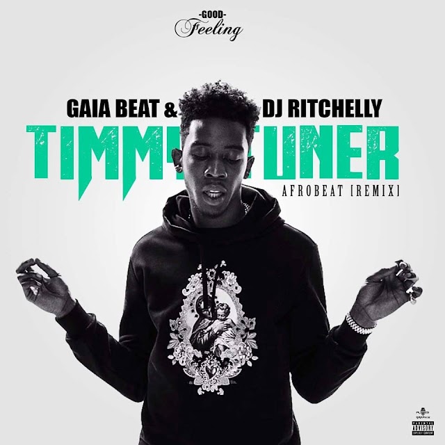 Timmy Turner [AfroBeat] (Remix) - GAIA BEAT & Dj Ritchelly (Download Free)