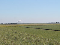 Campos de cultivo Campos de cultivo