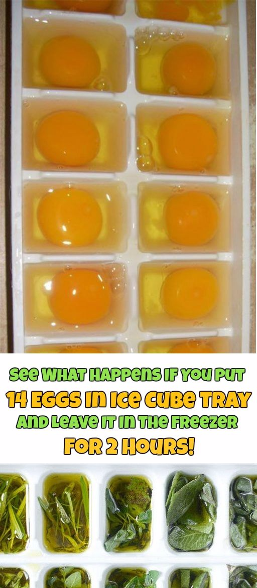 See What Happens If You Put 14 Eggs In Ice Cube Tray And Leave It In