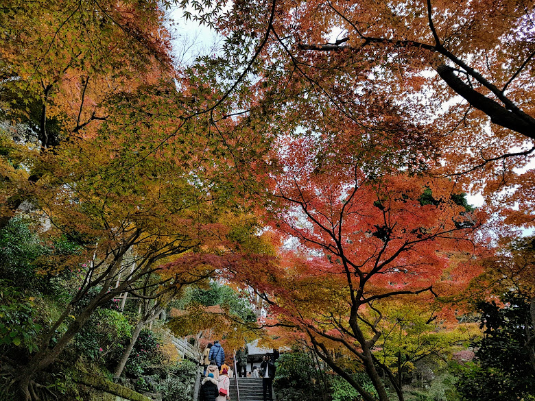 長谷寺寺內的秋色