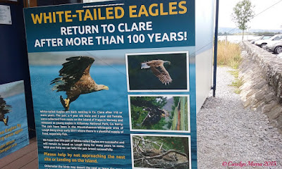 Mountshannon, County Clare