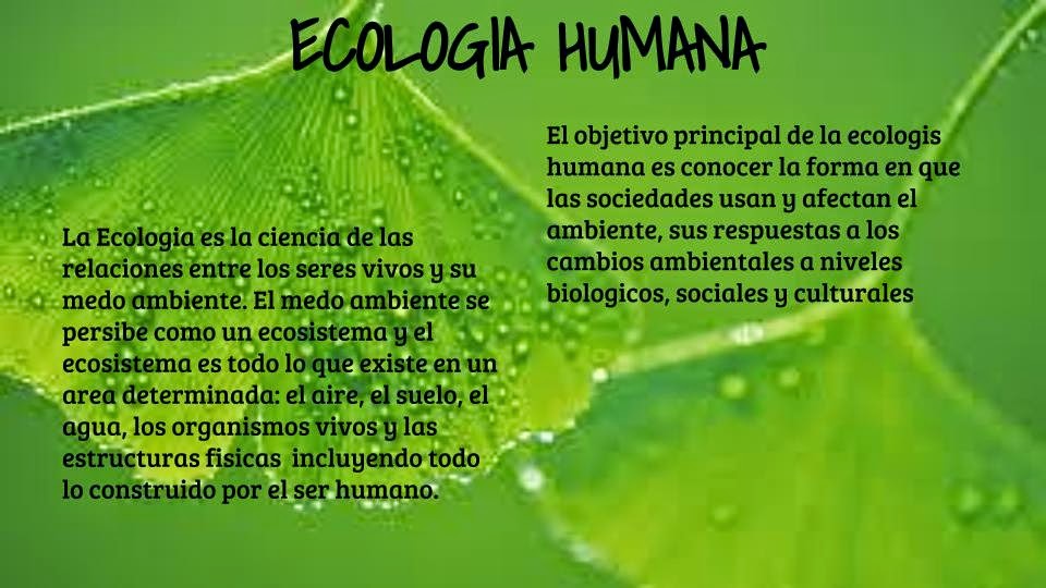 Concepto De Ecolog a Humana Definici n De Ecolog a Humana Crpodt