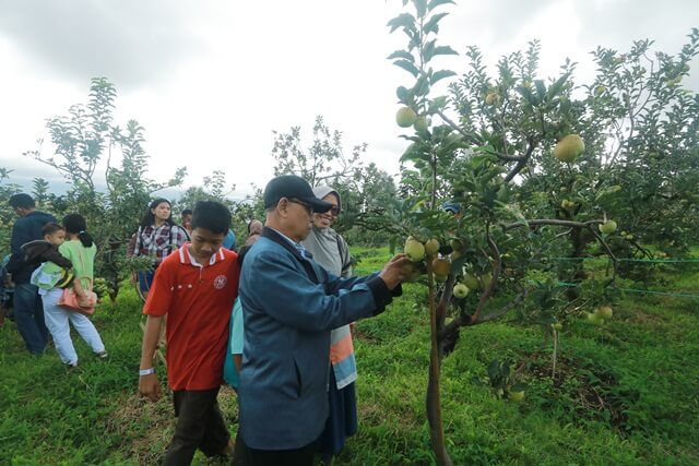 Mengajak Orang Tua Liburan