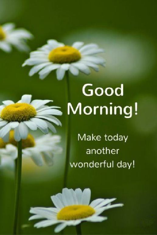 good morning sms with love