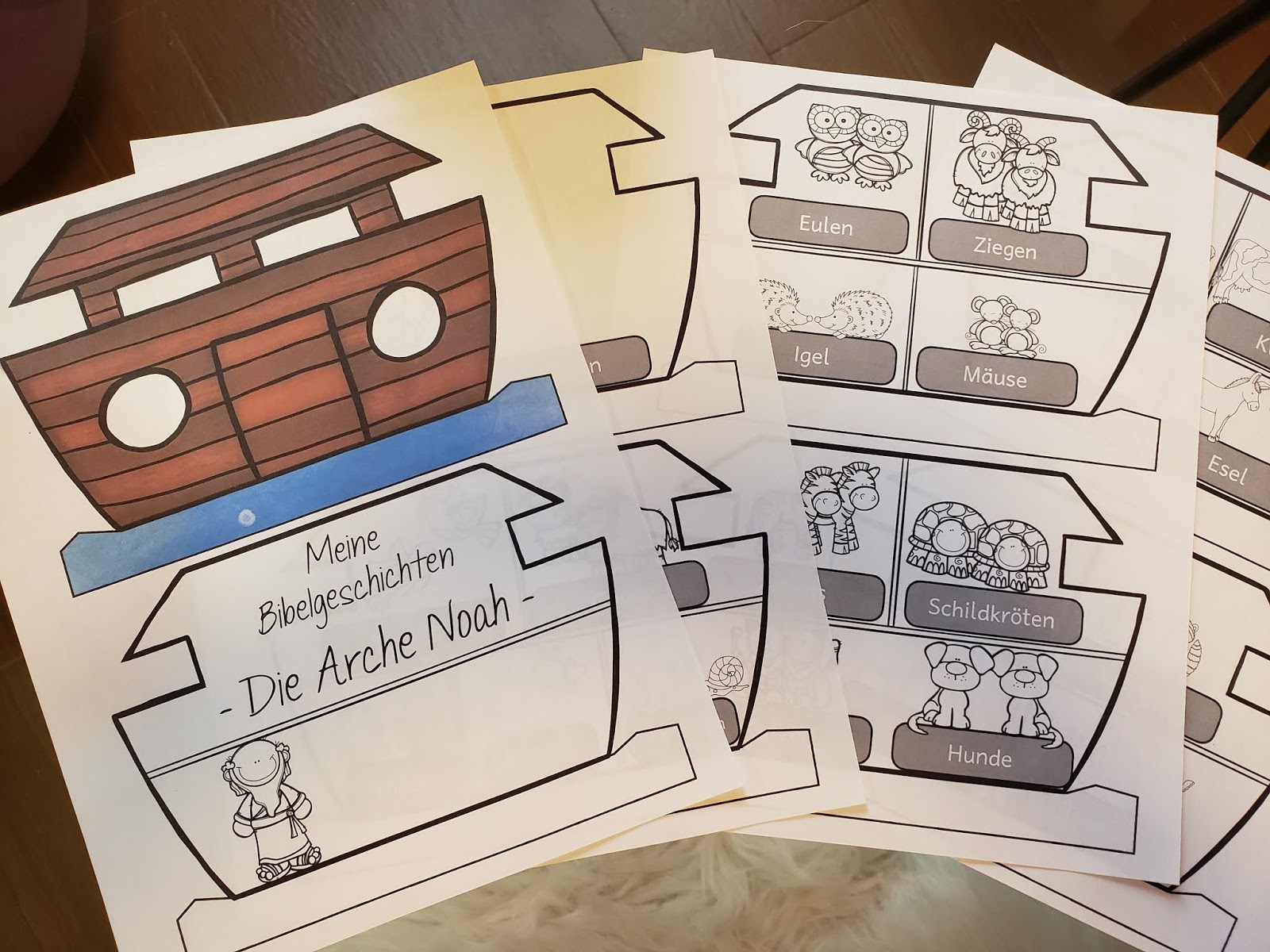 Drachenstübchen: Noah und die Arche im Reli-Unterricht