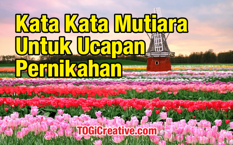 Kata Kata Mutiara Untuk Ucapan Pernikahan Togi Creative