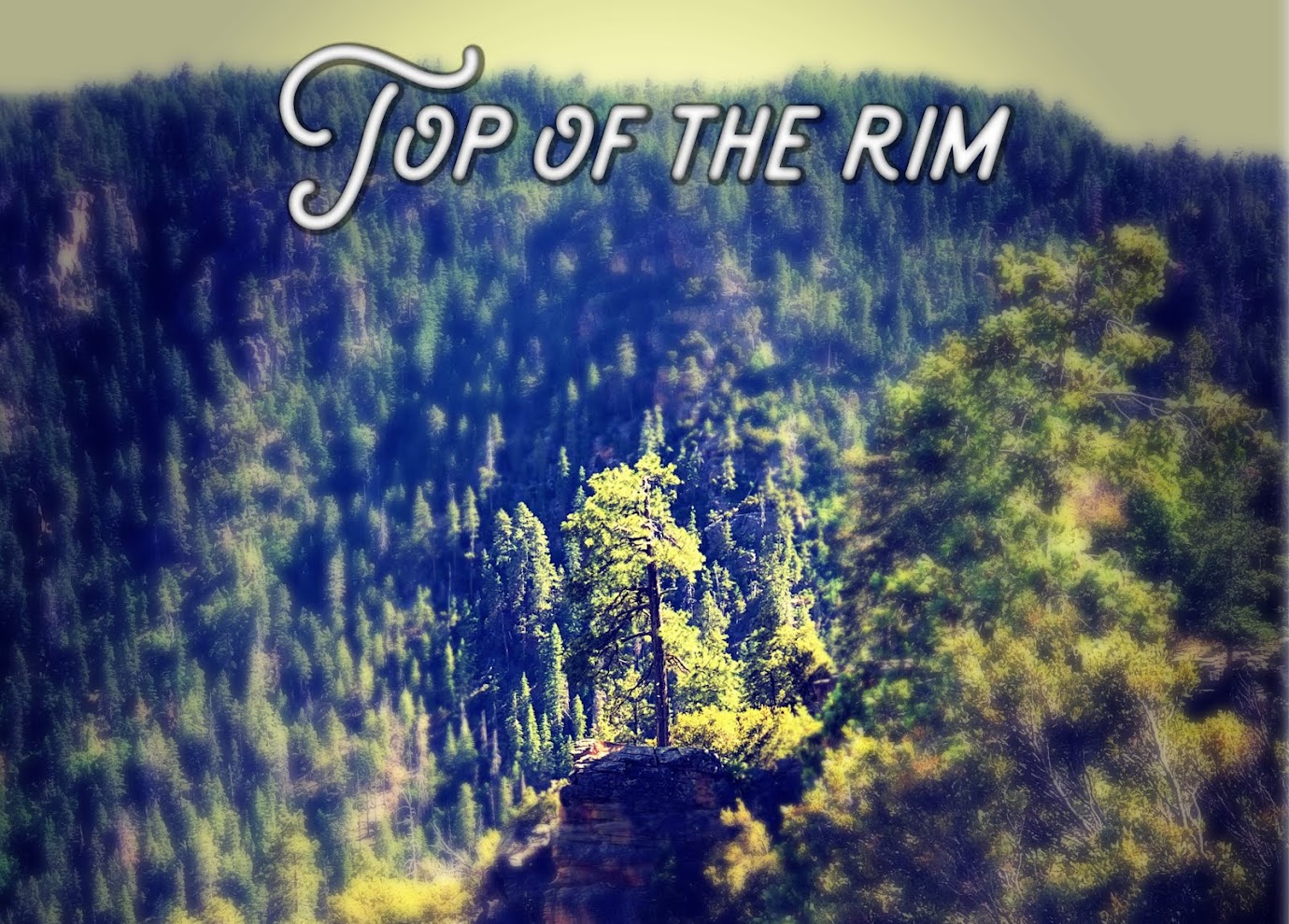 Top of The Rim