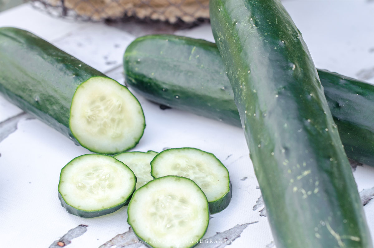 Tips: how to choose cucumber seeds 7 Tips: how to choose cucumber seeds 75