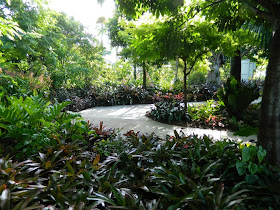 Brazilian Garden Naples Botanical Garden massed bromeliads by garden muses-a Toronto gardening blog